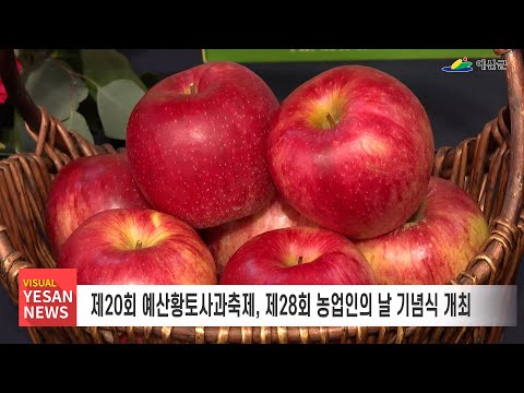 11월 2주차 [비주얼예산뉴스]