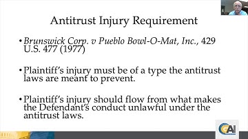 GAI Online Lecture Series - Antitrust Standing