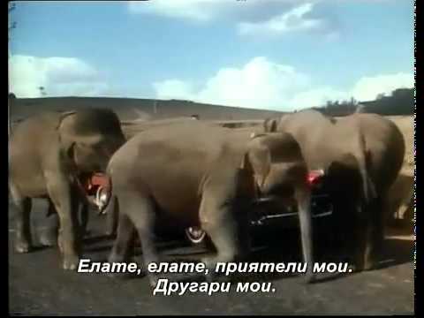 Слона мои приател  индиски