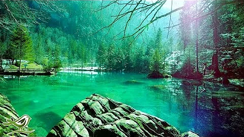 12 Hours of Relaxing Sleep Music for Stress Relief, Sleeping & Meditation Flying