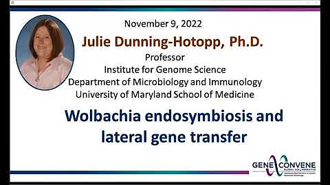 Wolbachia endosymbiosis and lateral gene transfer.