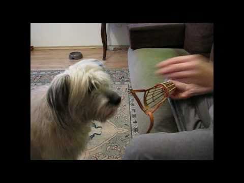 kaganiec-część-2.