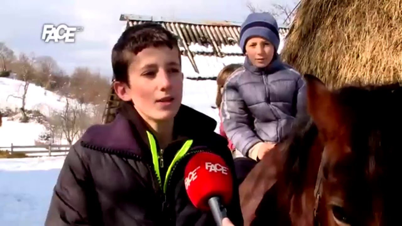 Hrabra družina s Manjače, četvoro djece, dorat i Lesi