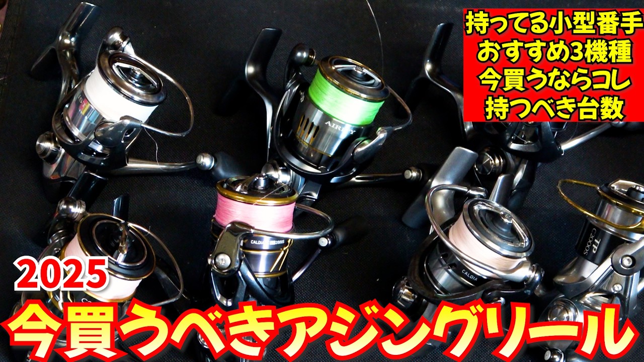 Recommended Azinging Reels to Choose Now] I'll show you all the