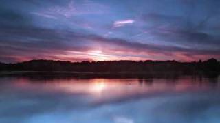 Forest Piano : Dan Gibson - Ancient Stand
