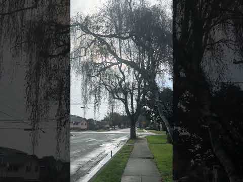 Cloudy day on today’s work walk #naturelover #visualtingle #walkingaround