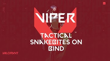 VIPER GUIDE: TACTICAL SNAKEBITES ON BIND