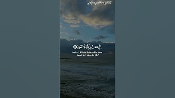 #قران_كريم_راحة_نفسية#الشيخ#القارئ#قرآن#القران_الكريم#رمضان #عبدالرحمن_سعد #عبد_العزيز_سحيم #fypシ゚