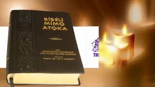 New Yoruba Bible (Bibeli Mimo atoka) screenshot 2