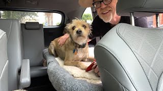 Adam Savage's One Day Builds: Car Seat Dog Bed!