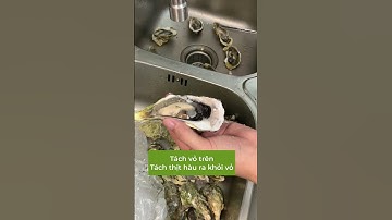 Cách làm sạch và tách vỏ hàu đơn giản ai cũng có thể làm #shorts