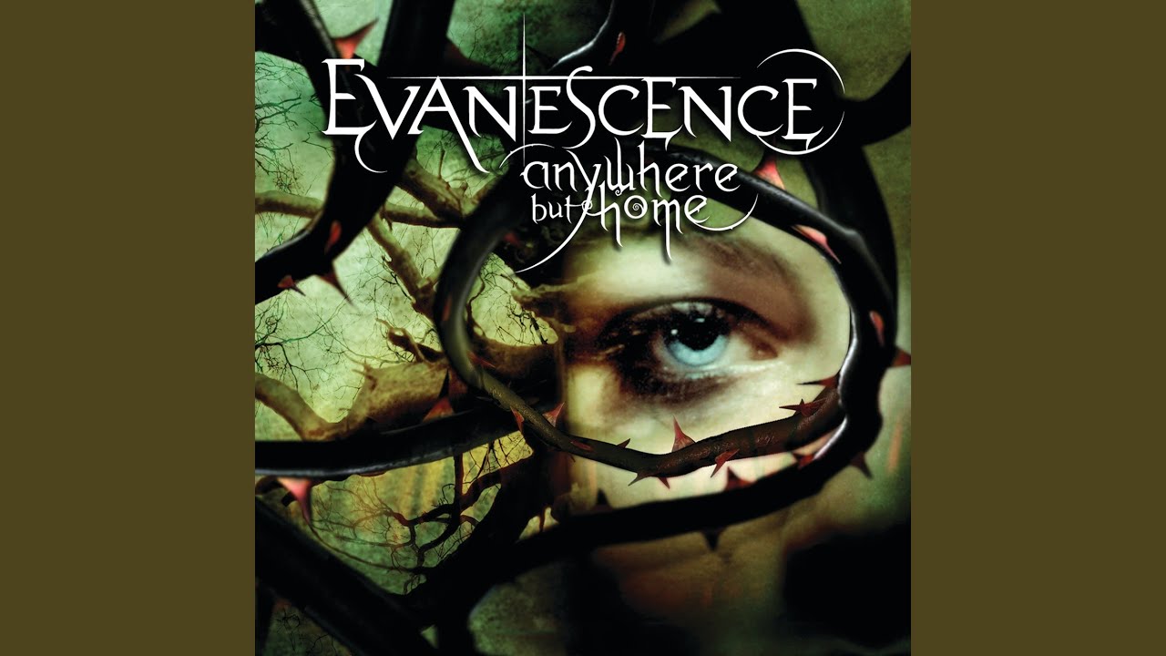 Taking Over Me (Live From Le Zénith,France/2004)