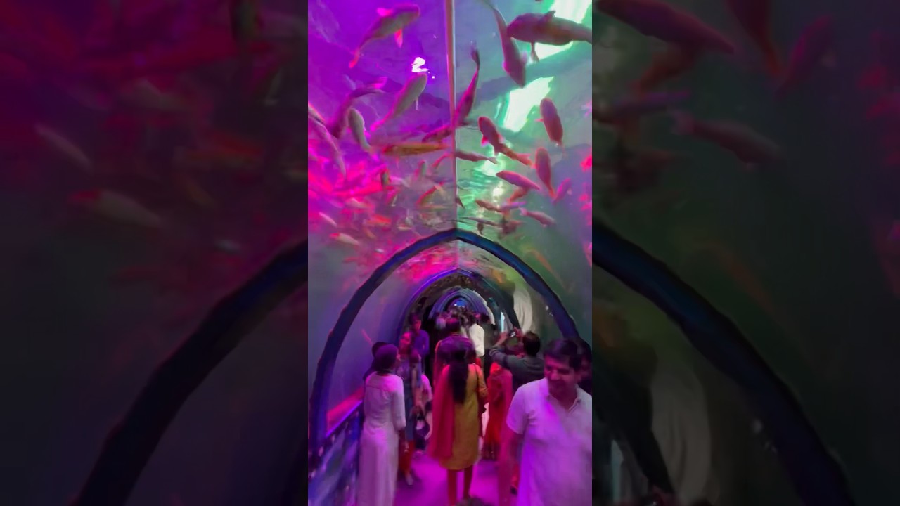 Underwater tunnel Aquarium exhibition in Hyderabad 2023
