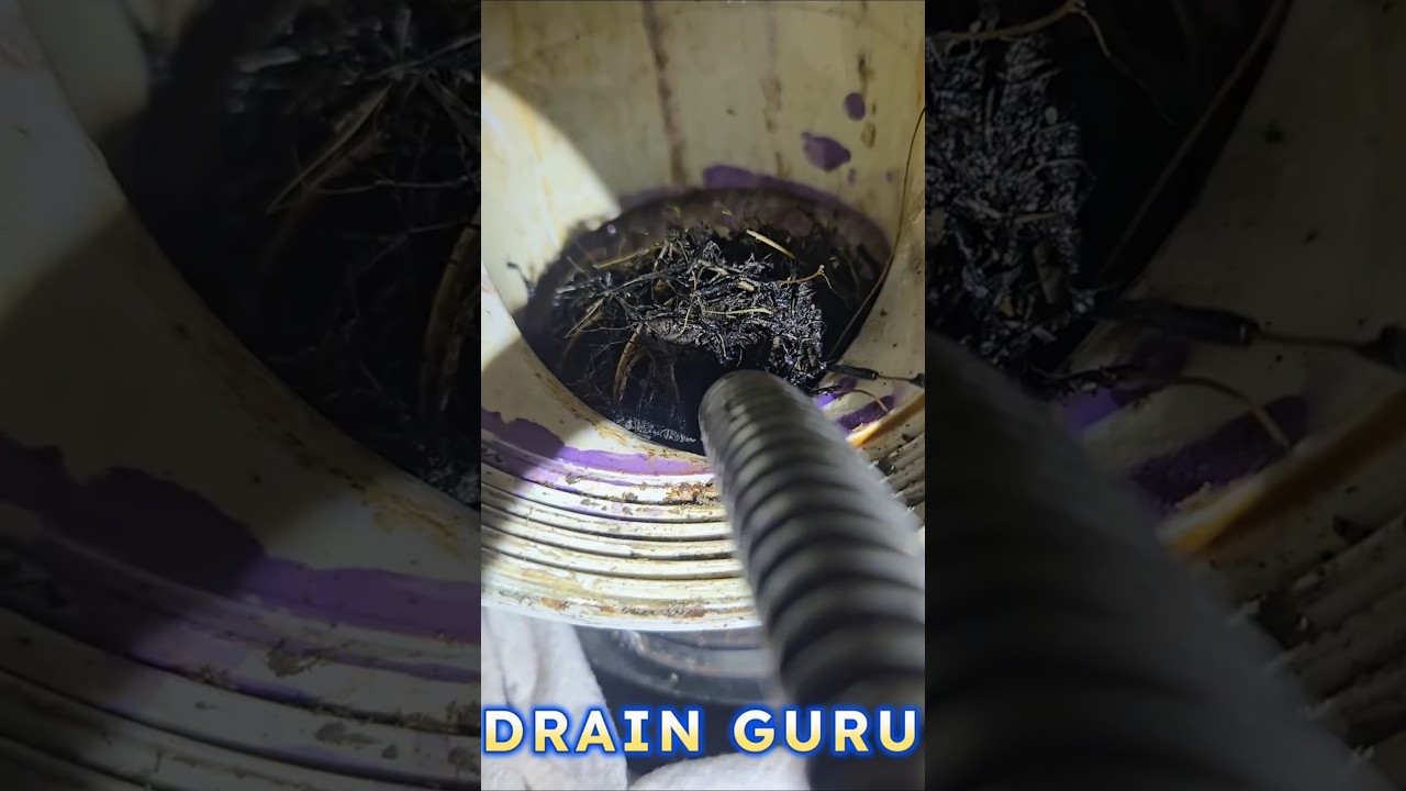 DRAIN SNAKE GOT STUCK, MASSIVE BLOCK AND DRAIN RESCUE