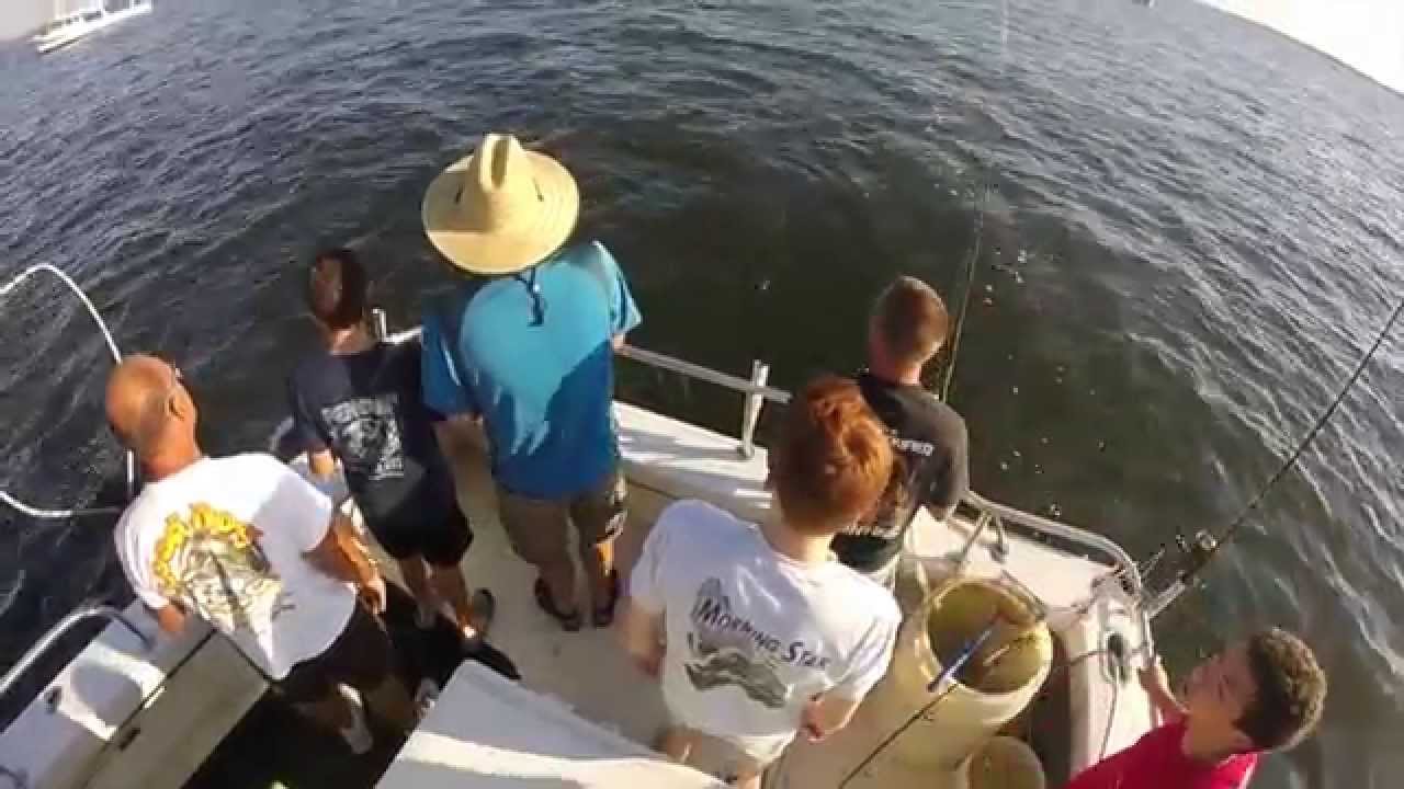 20150816 rock fishing off kent island YouTube