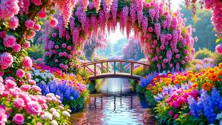 🌺 Tiny Garden Makeover 🌿 Relaxing Flower Tours & Tranquil Spaces
