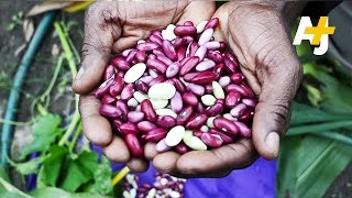 Refugee Farming In Vermont