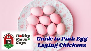 A Guide to Pink Egg Laying Chickens  Including 10 Breeds!