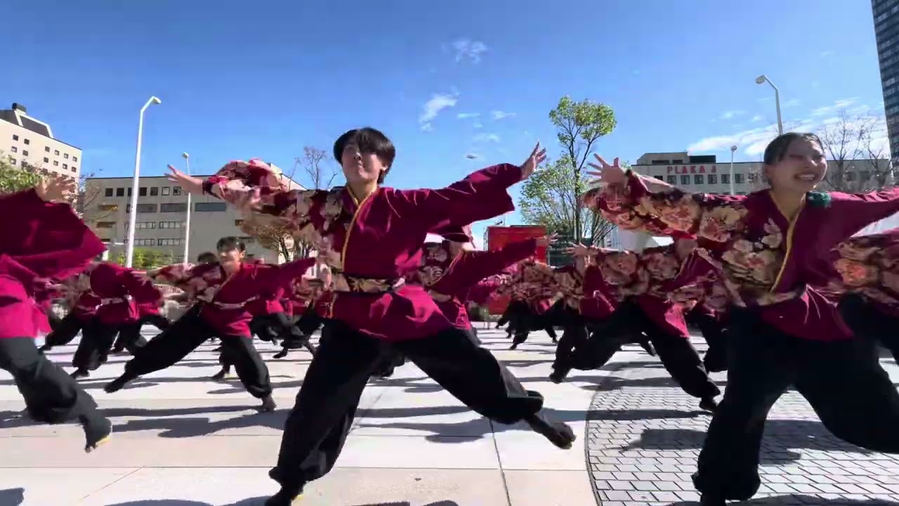 新潟医療福祉大学よさこい部舞桃会　新潟総おどり
