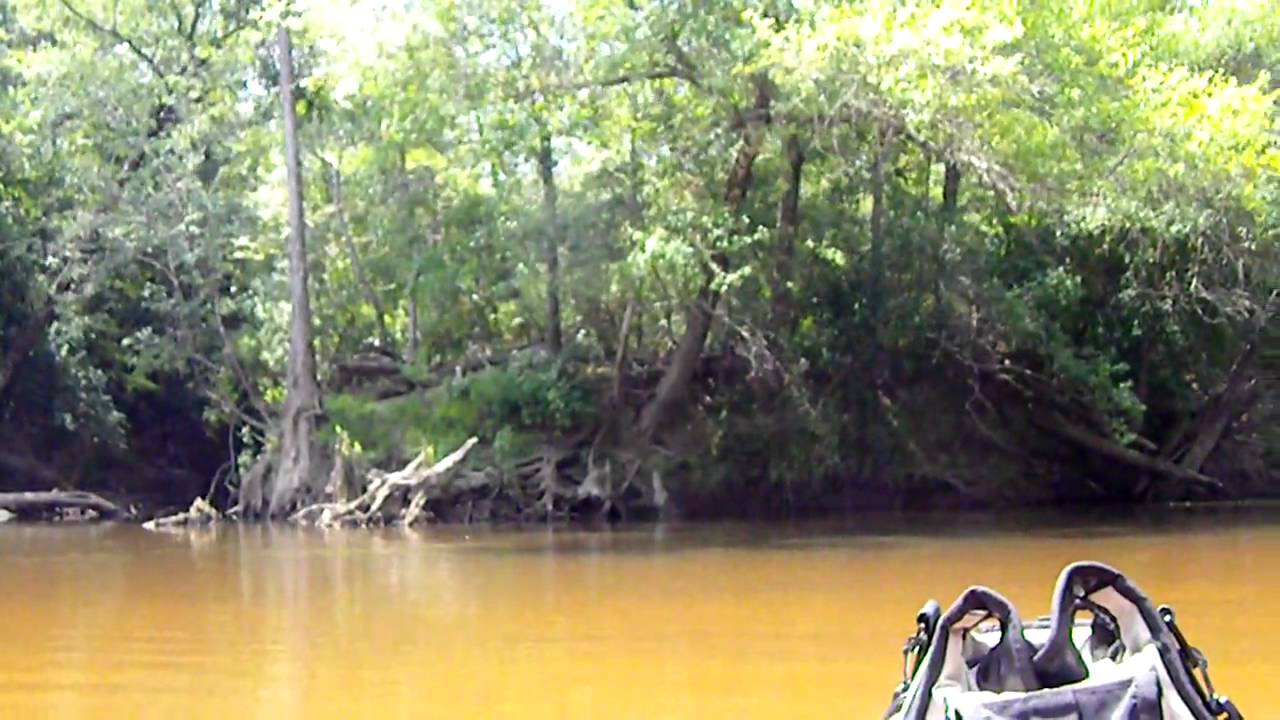 Escatawpa River August 672010 YouTube
