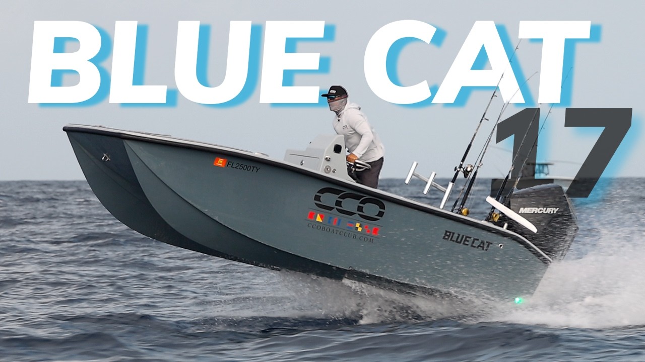 Can the 17' Blue Cat Handle Offshore Chaos?