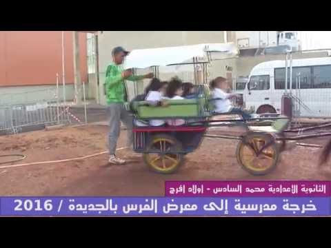 ربورطاج خرجة مدرسية إلى معرض الفرس بالجديدة 2016 إعدادية محمد السادس اولاد افرج
