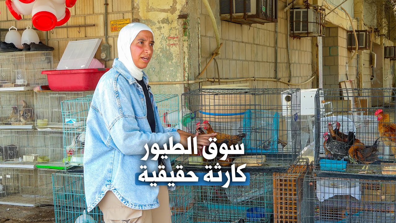 سوق الطيور.. كارثة ترصدها الجريدة وتحذّر المسؤولين