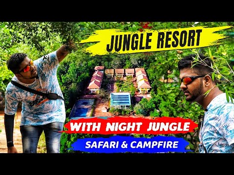 Resort inside a jungle in pondicherry | JUNGLE RESORT | Auroville