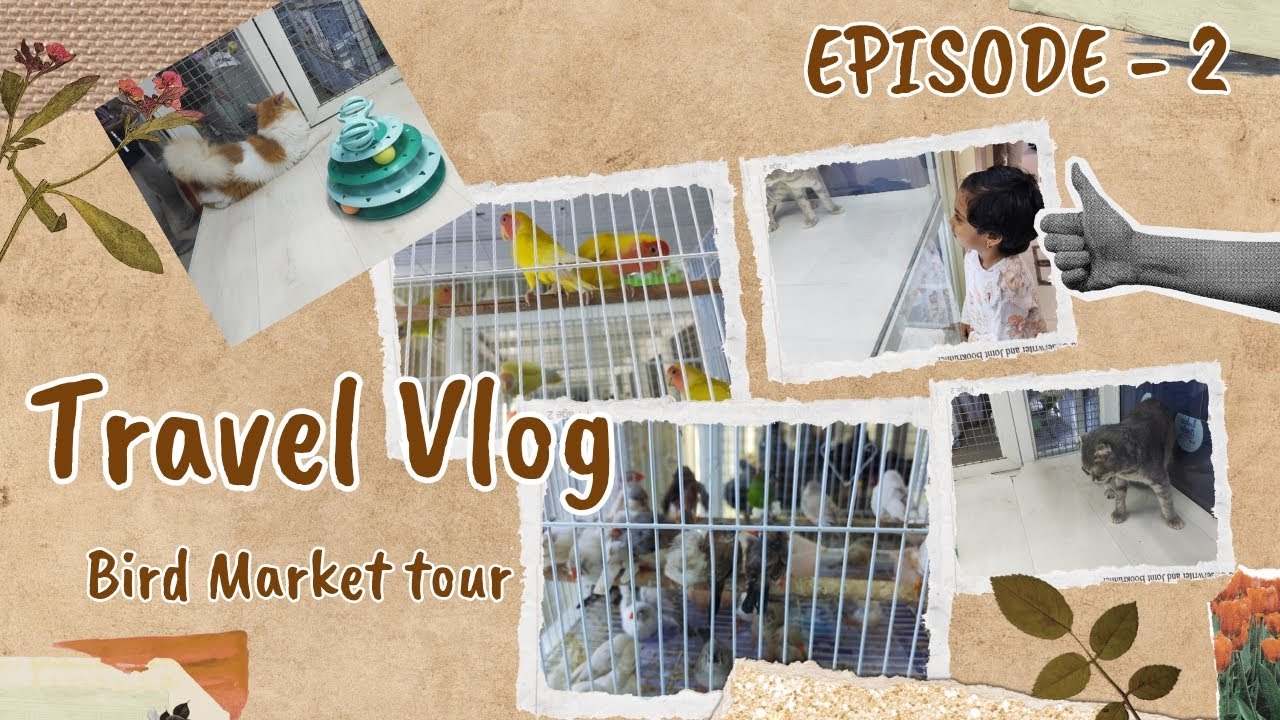 Travel Vlog Episode-2| Bird Market tour in Sharjah| #viralvideo #vlogging#youtube #tour 