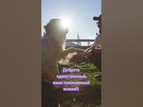 Антон Птушкин @ptuxermann #птушкин #youtube #shorts - YouTube