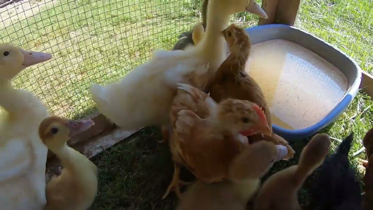 Начало осени в Калифорнии