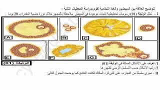 تمارين التنسيق العصبي الهرموني 2 ثانوي