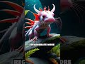 Axolotl vs. Salamander: Who Would Win?