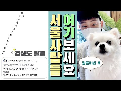 [피디형TV] 피디형티비 - 경상도 사람과 서울사람의 찐 차이!? 어느정도높이까지올라가는거예요? 사투리 억양 왜이리 잼날까? 폼피츠 포메도 웃겨 버린 핫한 영상! 방심하다 당했다!