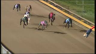 GEL TUE 06 AUG 19 R11