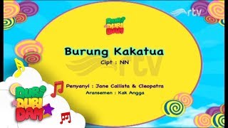 Dubi Dam Club : Burung Kakak Tua
