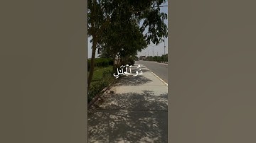 تلاوه من سورة الرحمن|بصوت الشيخ محمد المنشاوي🎧♥️#quran #trending #قرآن #راحة_نفسية
