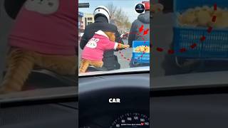 Angry Cat Loses It After Loud Car Horn 😂🐱 #shorts #shortvideo