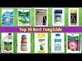 Top 10 Best Fungicide