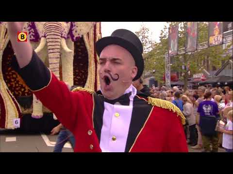 Wilhelmina | Corso Valkenswaard