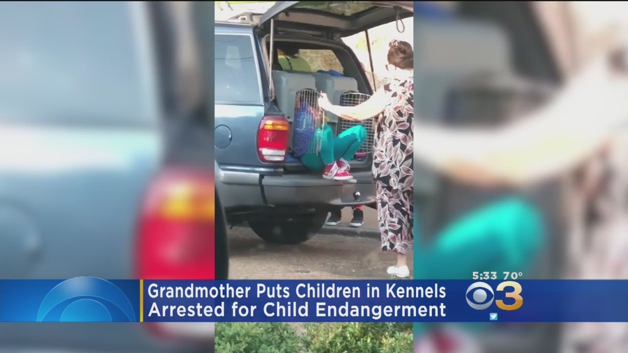 dog crate back of suv