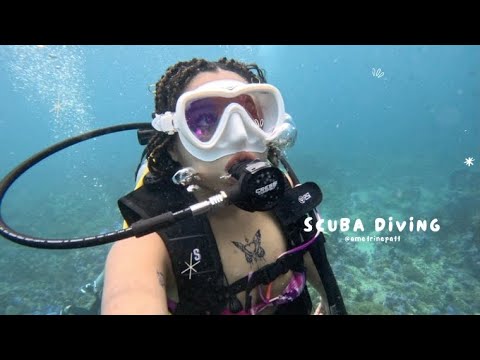 Scuba Dive in Thailand หลีเป๊ะฉบับใต้ทะเล