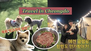 [애견글램핑VLOG] 청도 신난다애견글램핑 안가본사람도 있다고?!(애견없이도 글램핑o | 불멍o | 대구,경북 근교 글램핑)