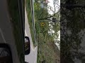 Mountain Escape 🌿 Relaxing Nature Views #tranding #shortvideo #travelvlog #youtubeshorts #ytshorts