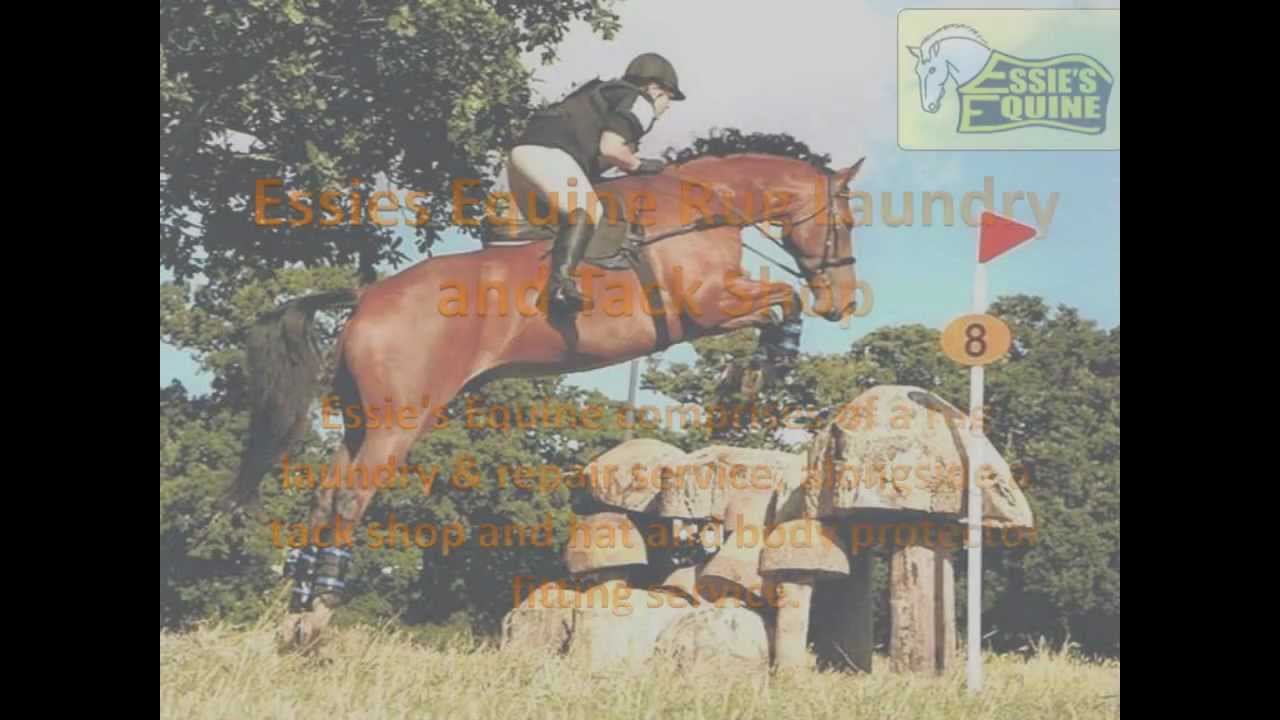 Essies Equine Rug Laundry YouTube