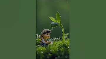 #ارح_سمعك #قرآن #اكسبلور #quran #تلاوة_خاشعة #اسلام_صبحي #الحناجر_الذهبيه #راحة_نفسية #المصحف