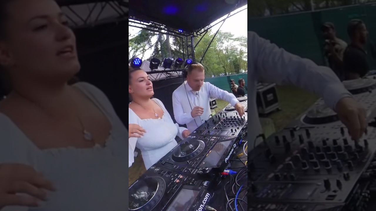 Fake DJs take the place of REAL ARTISTS 😒 #djmix #dj #djtips