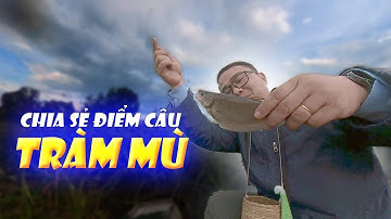 Chia sẻ điểm câu| Điểm câu Tràm Mù P.2| Câu Cá Thác Lác| Anh Béo Câu Cá| Fishing Videos
