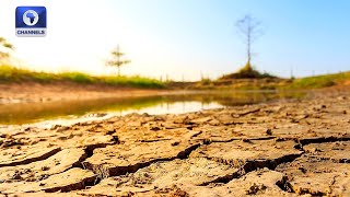 Drought Threatens Food Security In Tunisia + More | Network Africa