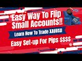 INSANE Forex Scalping On XAUUSD | Learn How To Trade Gold| EASY |Crazy Build| Predict the Market $$$